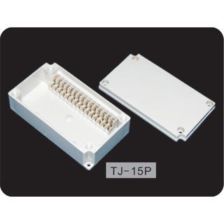 TJ-15P : Terminal Block Box IP66 (กล่องพลาสติก พร้อมเทอร์มินอลบล็อก)TIBOX , Size : 100x180x55 mm.