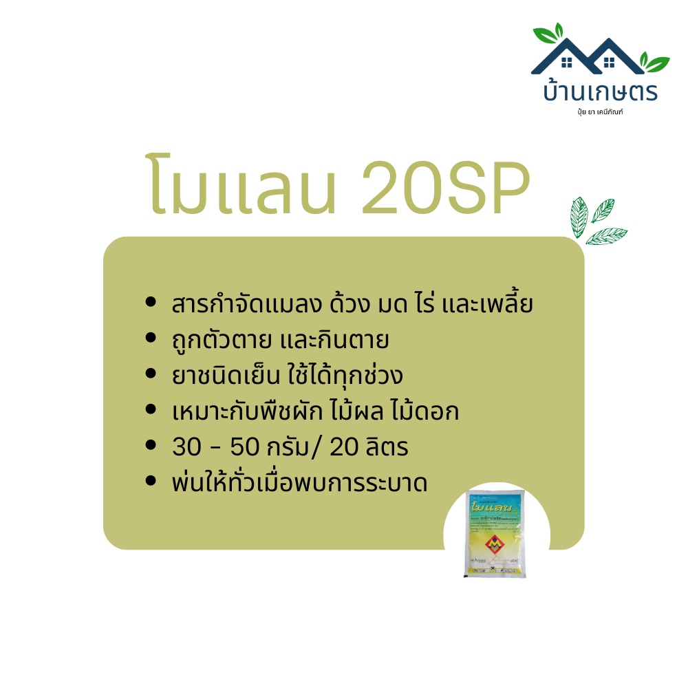 โมแลน-20-เอสพี-molan-20-sp-ขนาด-100-กรัม-อะซีทามิพริด-acetamiprid-20-sp-สารกำจัดแมลง-หนอน-เพลี้ย-ชนิดออกฤทธิ์เร็ว