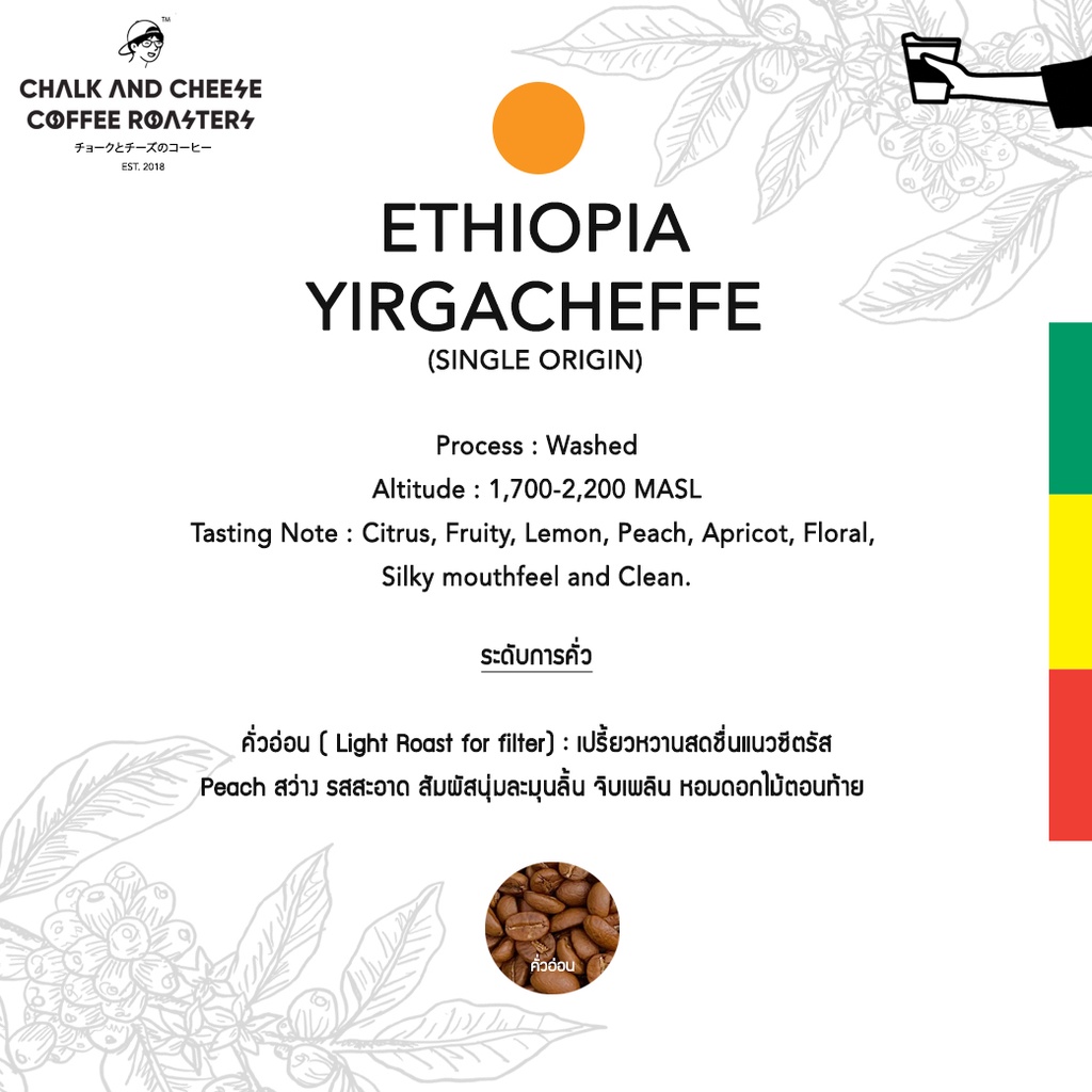 เมล็ดกาแฟ-ethiopia-yirgacheffe-คั่วอ่อน-for-filter-อาราบิก้า100-single-origin-chalk-and-cheese-coffee-roasters