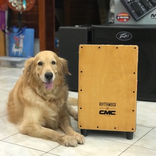 กลองคาฮอง ซีเอ็มซี Cajon CMC แถมกระเป๋าใส่กลอง