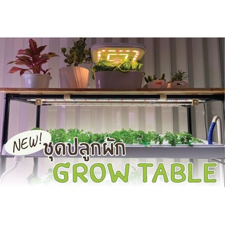 Grow Table โต๊ะปลูกพืช โต๊ะปลูก hydroponics พร้อมกับอุปกรณ์ Full set  พร้อมใช้งาน ปรับความเข้มแสง ตั้งเวลาเปิดปิดได้