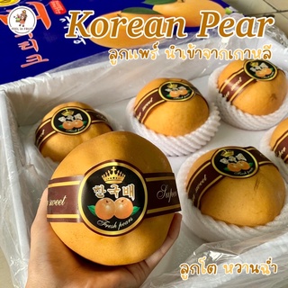 สาลี่หิมะเกาหลี 🇰🇷✨ ลูก​ใหญ่​จัมโบ้  เนื้อ​กรอบ​ หวานฉ่ำ​ สด​ใหม่​ /กล่องละ​ 6-7 ลูก ผลไม้