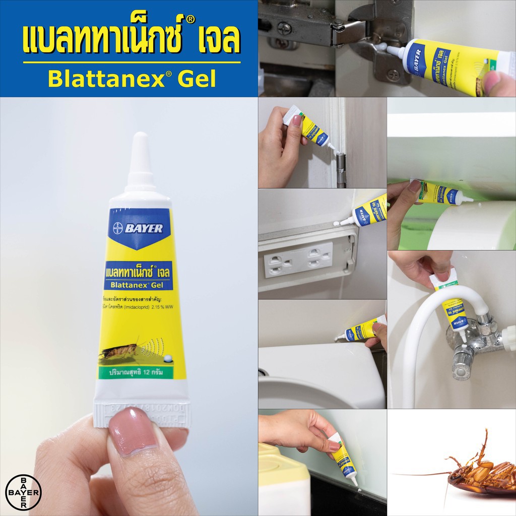 blattanex-gel-เจลกำจัดแมลงสาบ-แบลททาเน็กซ์-เจล-12-กรัม-แพ็ก-12