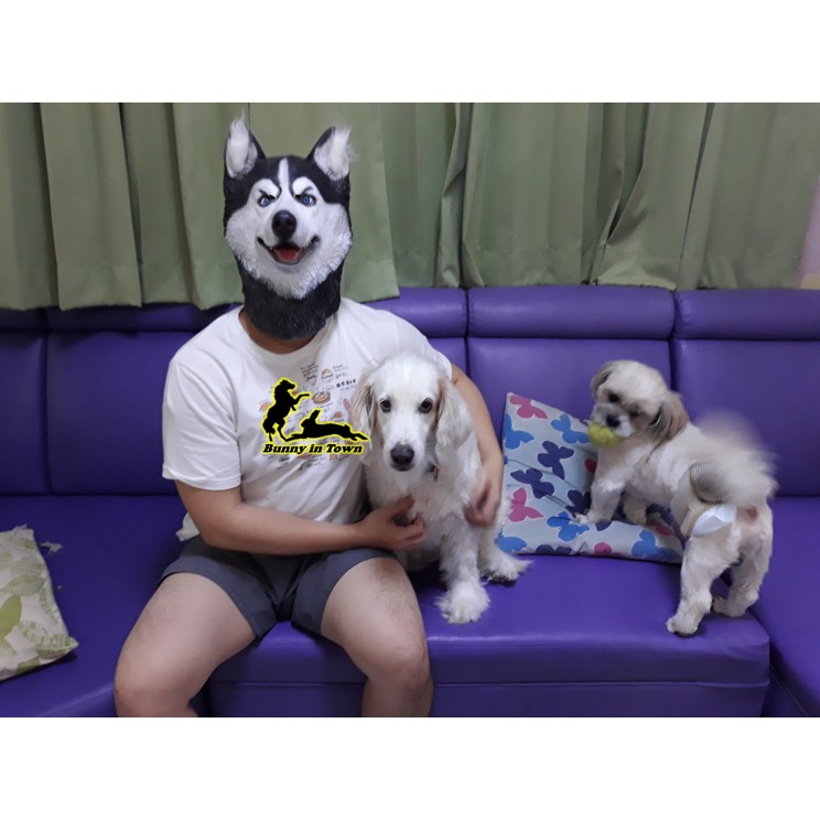 พร้อมส่ง-party-dog-mask-หน้ากากสัตว์-หน้ากากหมา-หน้ากากแฟนซี-หน้ากากหมาป่า-หมวกปาร์ตี้-สำหรับคอสเพลย์ปาร์ตี้ฮาโลวีน