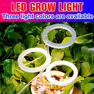 Angel แหวนไฟพืชเติบโต5V USB Growlight สำหรับพืช Led Full Spectrum โคมไฟในบ้านดอกไม้ Greenhouse Seedling Home ดอกไม้