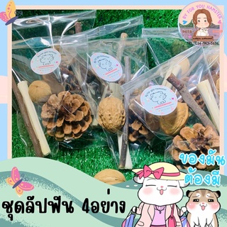 ภาพหน้าปกสินค้า❌กรุณาสังขั้นต่ำ 50 บาท❌เซ็ทลับฟัน สัตว์ฟันแทะหนูแฮมเตอร์ ลูกสน ไม้แอปเปิล ไผ่หวาน(กรุณาอ่านรายละเอียดก่อนสั่ง) ที่เกี่ยวข้อง