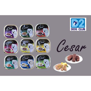 Cesar Tray Dog Food ซีซ่าร์ อาหารสุนัข อาหารเปียกสุนัข แบบถาด ขนาด 100 กรัม