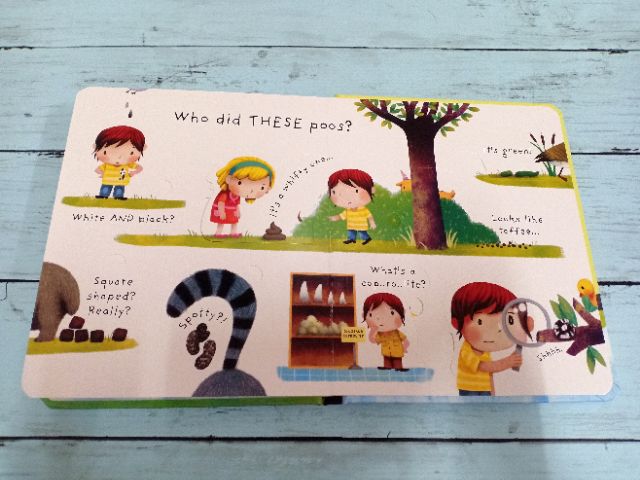 new-usborne-lift-the-flap-what-is-poo