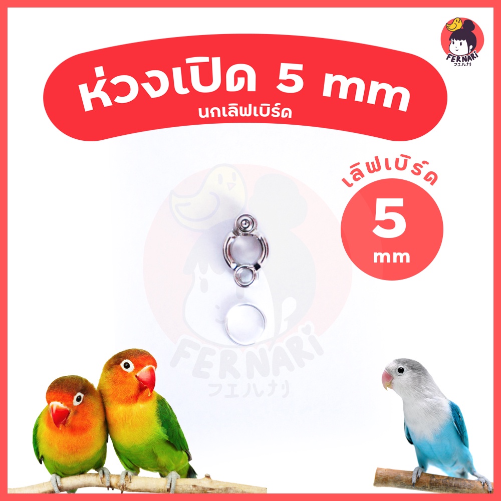 ห่วงขานก-ห่วงเปิดคล้องขานก-5-mm-พร้อมส่ง-ห่วงขานกแก้ว-เลิฟเบิร์ด