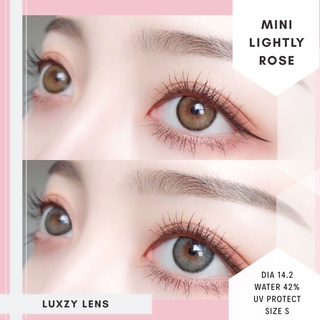 Lightly Rose / Luxzy lens (Gray/Brown , Almond Brown) มีค่าสายตาสั้น ถึง -200