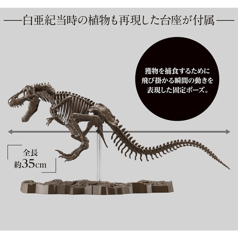 imaginary-skeleton-tyrannosaurus
