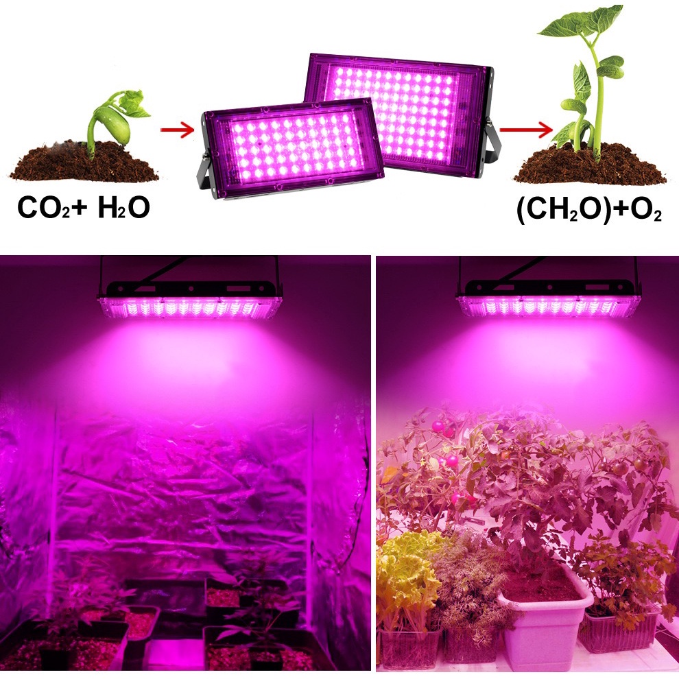 ภาพหน้าปกสินค้า220V Full Spectrum LED Grow Light 50W/100W/200W /300Wไฟปลุกต้นไม้ ไฟช่วยต้นไม้ตัวเร็ว มีสวิตช์ปิดเปิด สายไฟยาว1.5โมตร จากร้าน kevinlai008 บน Shopee