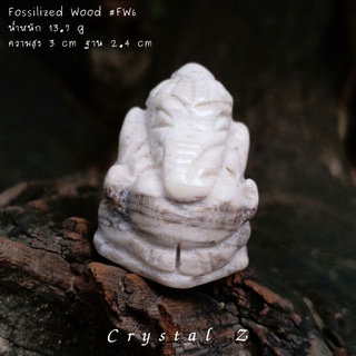 ไม้กลายเป็นหิน | Fossilized Wood #FW6 🌳#แกะสลักรูปพระพิฆเนศ