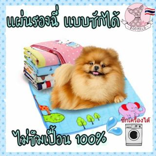 แผ่นรองฉี่สำหรับสุนัข🐕 แบบซักได้​💧 ไม่ซึม100% แผ่นรองฉี่น้องหมา🐈แผ่นรองฉี่สุนัข สัตว์เลี้ยง แผ่นรองฉี่หมา​ พร้อมส่ง