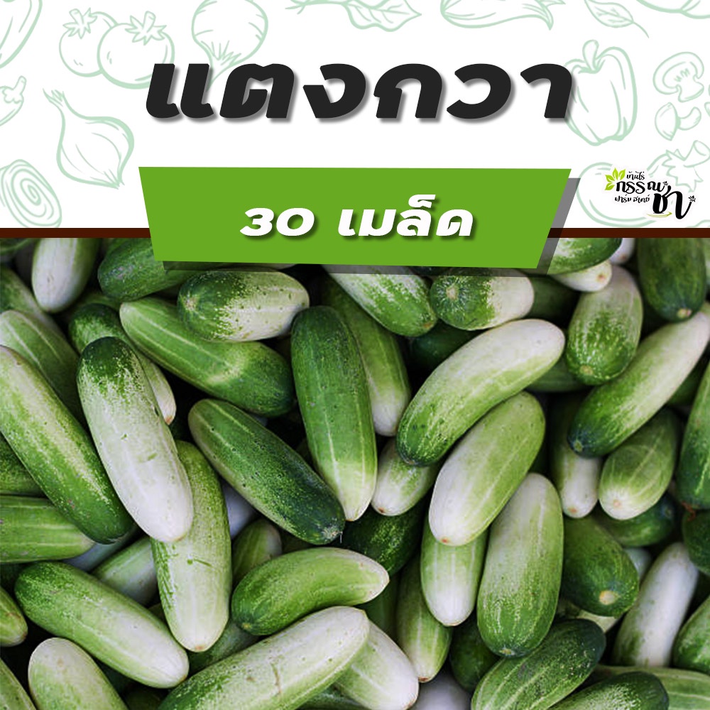 แตงกวา-เมล็ดพันธุ์-หลายหลายสายพันธุ์