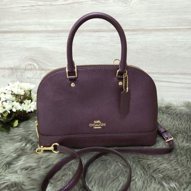 กระเป๋า-coach-mini-sierra-satchel-coach-f29170