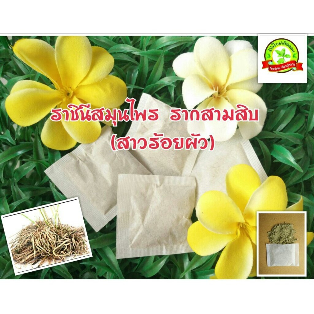 รากสามสิบ-ขนาดบรรจุ-50-ซองชา-ชารากสามสิบ-shatavari-tea-สมุนไพรราก-30-แท้-100-เป็นยาบำรุงสำหรับสตรี