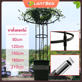 สินค้า ซุ้มกุหลาบเลื้อย ซุ้มกุหลาบ ซุ้มไม้เลื้อย เหล็กแข็งแรง โครงกุหลาบเลื้อย ท่อเหล็กเคลือบ PE กันสนิม โครงเหล็กดัด