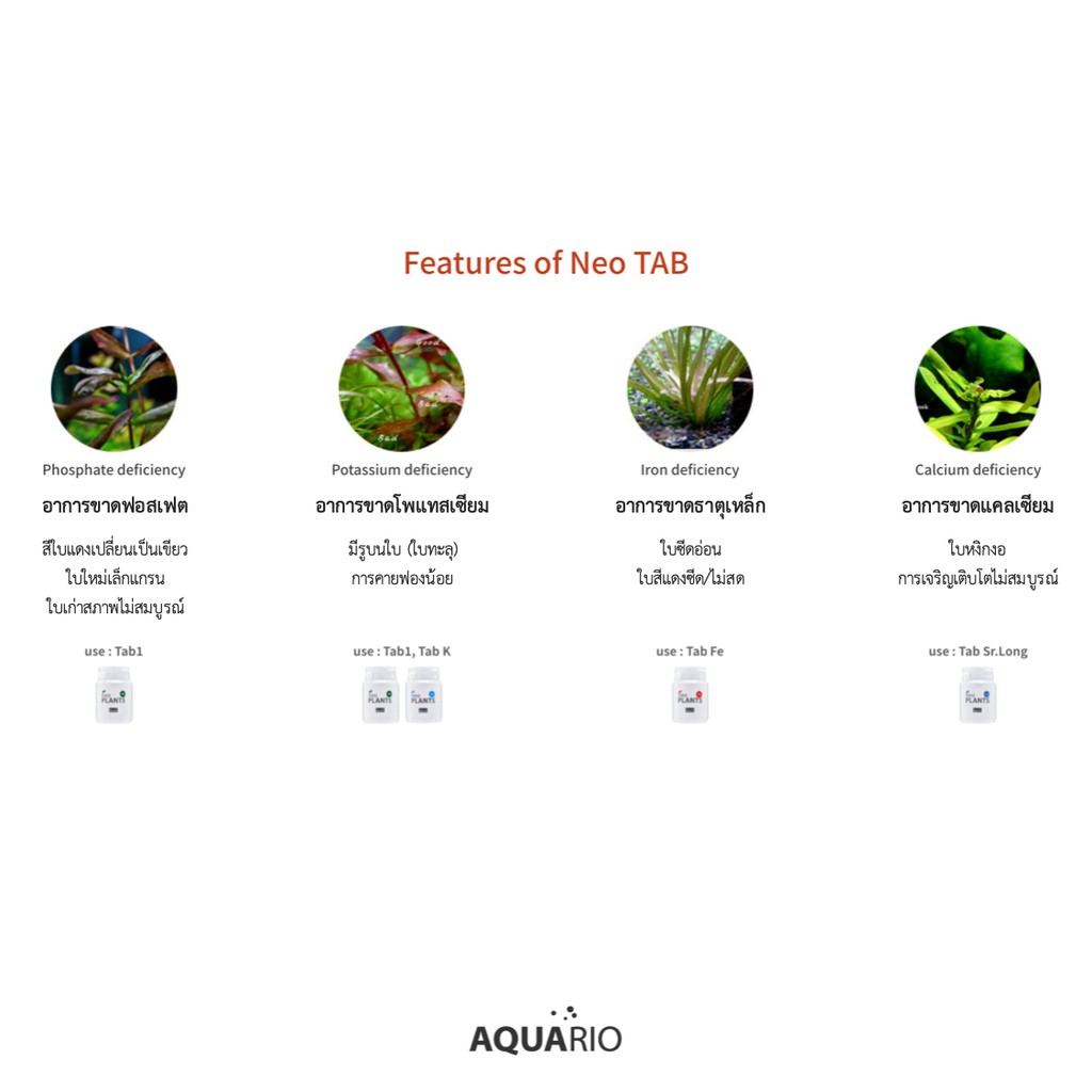 aquario-neo-plants-tab-ปุ๋ยฝังสำหรับพรรณไม้น้ำ-แร่ธาตุต่างๆ-ทั้งระบบปุ๋ยเคมีและปุ๋ยอินทรีย์