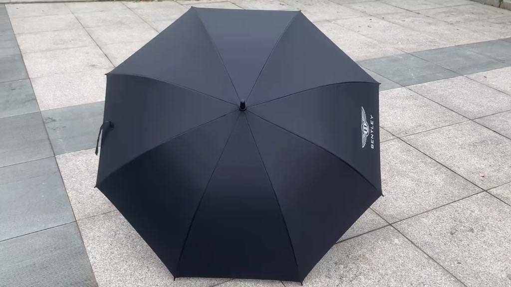 business-umbrella-high-end-car-logo-long-handle-business-long-handed-anti-ultraviolet-rod-umbrella-umbrella-umbrella