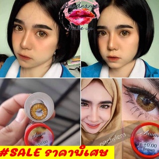 Pitchylens arum ค่าปกติ brown gray Contactlens บิ๊กอาย คอนแทคเลนส์ ราคาถูก แถมตลับฟรี pitchylens