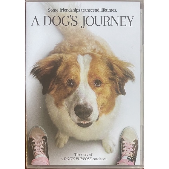 a-dogs-journey-2019-dvd-หมา-เป้าหมาย-และเด็กชายของผม-2-ดีวีดีซับไทย