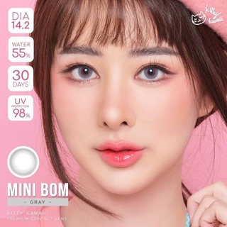 mini Bom Gray (2) มินิ สีเทา เทา โทนสุภาพ Kitty Kawaii เลนส์พรีเมี่ยม ค่าอมน้ำสูง Bigeyes คอนแทคเลนส์ ค่าสายตา แฟชั่น