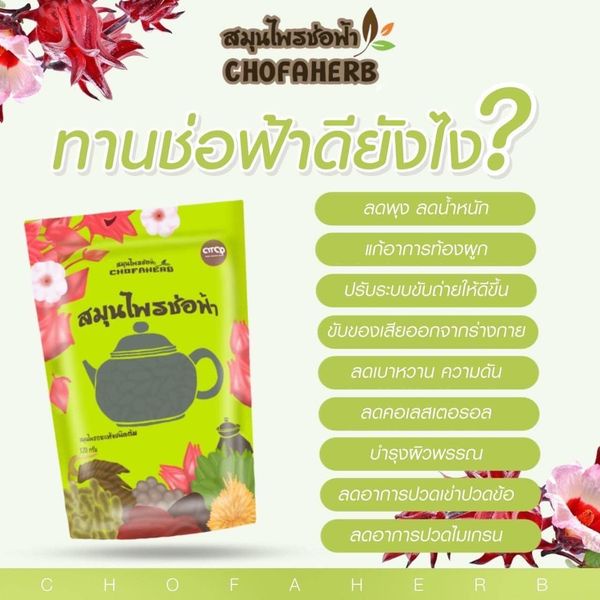 พร้อมส่ง-ถูก-ของแท้-สมุนไพรช่อฟ้า-อบแห้ง-สมุนไพรแบบต้ม-อบแห้ง-ลดไขมันลดพุง