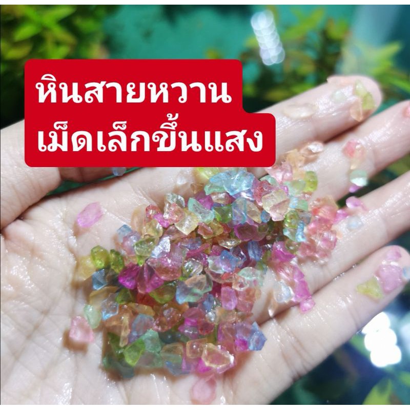 ภาพหน้าปกสินค้าทรายขาว​ สร้างความสว่างให้ตู้ปลา​ สู้แสงเงาสวย จากร้าน moddang00 บน Shopee