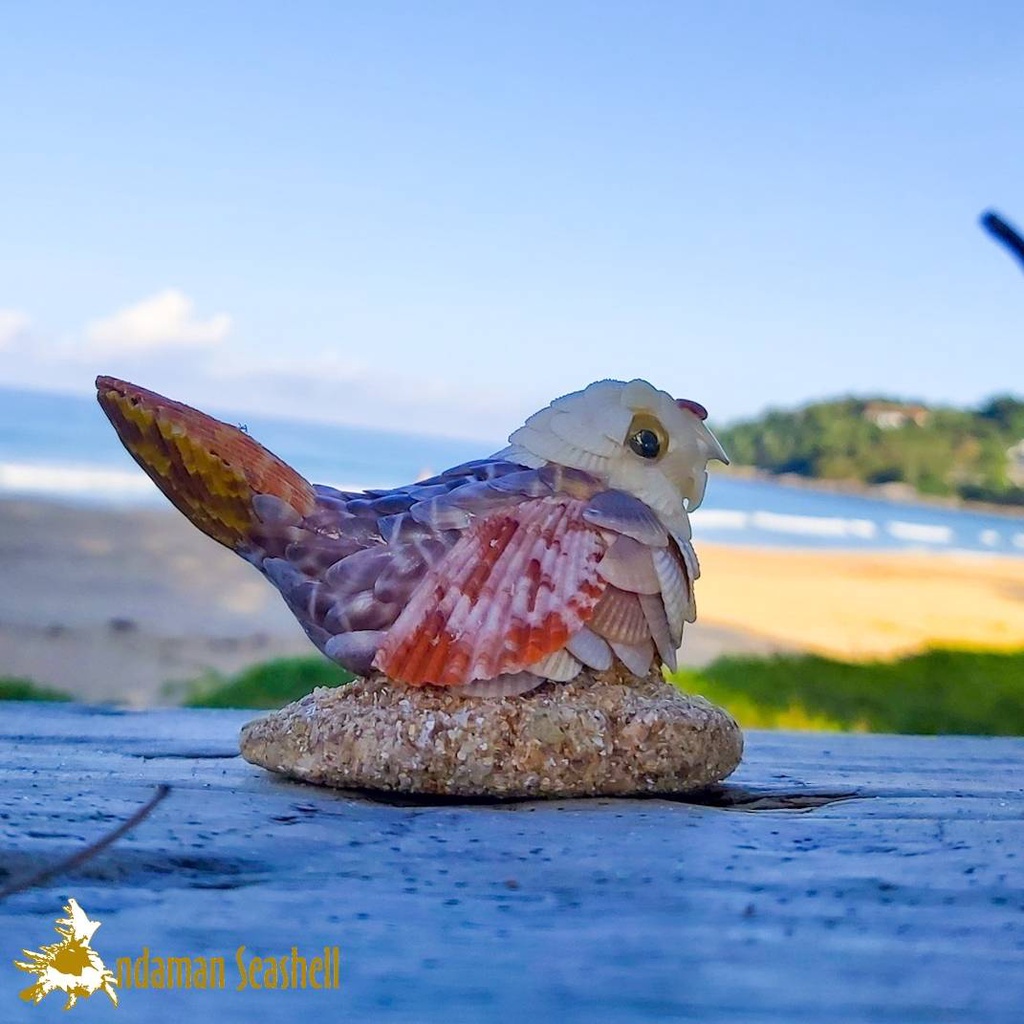 andaman-seashell-ตุ๊กตาปูนปั้นติดเปลือกหอย-นก-ติดหอยแครง