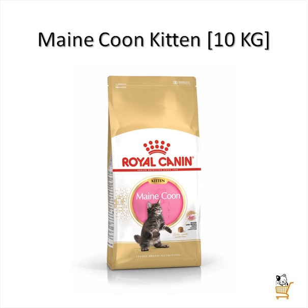 royal-canin-maine-coon-kitten-10-kg-อาหารลูกแมวพันธุ์เมนคูน-อาหารเม็ด-แมว-เมนคูน-mainecoon-ลูกแมว