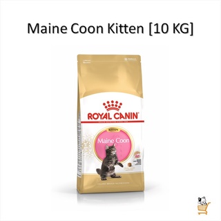 Royal Canin Maine Coon Kitten [ 10 KG ] อาหารลูกแมวพันธุ์เมนคูน อาหารเม็ด แมว เมนคูน Mainecoon ลูกแมว