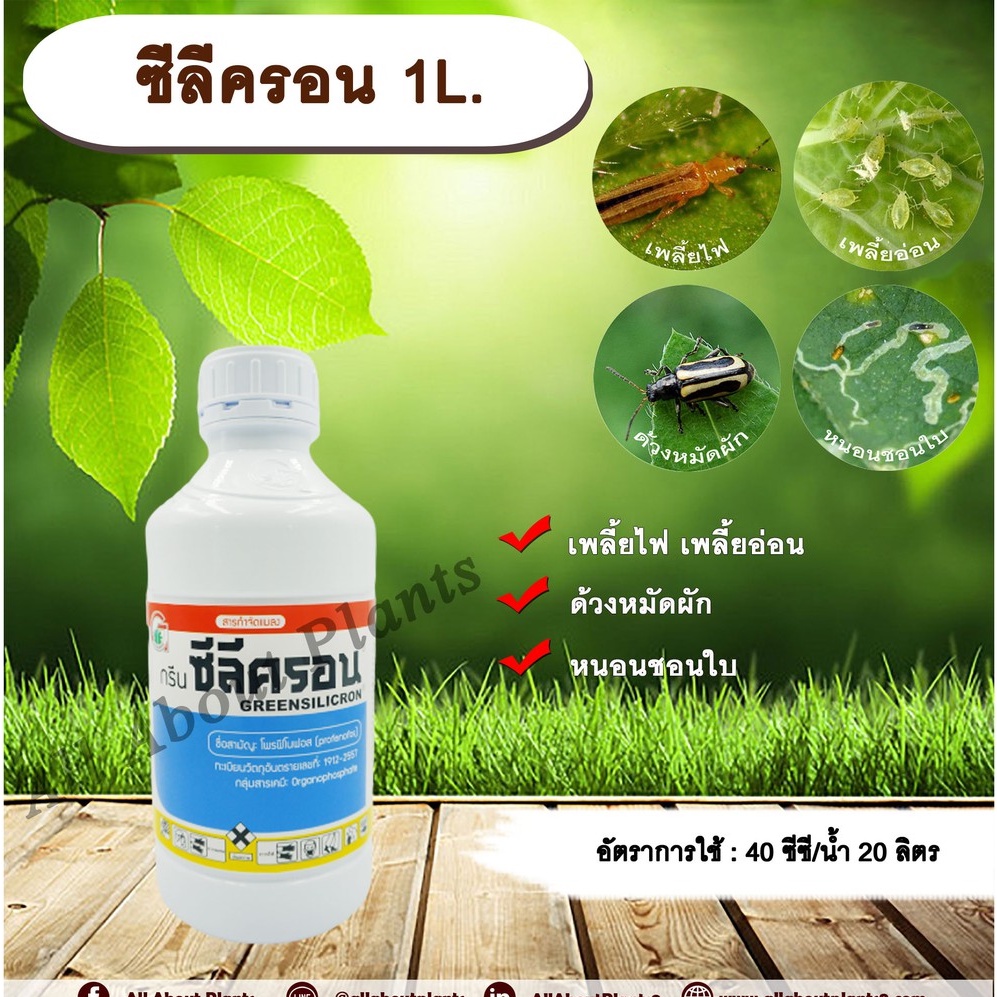 ซีลีครอน-1l-โพรฟีโนฟอส-เพลี้ยไฟ-เพลี้ยอ่อน-ด้วงหมัดผัก-หนอนชอนใบ-สารกำจัดเพลี้ย-กำจัดหนอน-allaboutplants