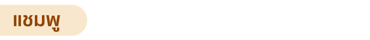 webp_image