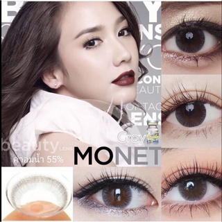 Monet gray Beautycontactlens