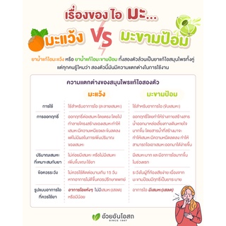 ภาพขนาดย่อของภาพหน้าปกสินค้ายาน้ำแก้ไอมะแว้ง สูตรไร้น้ำตาล อ้วยอันโอสถ / Herbal One จากร้าน ouay_un_osoth_officialshop บน Shopee ภาพที่ 2