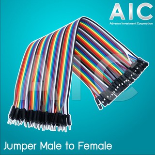 สาย Jumper 20 cm Male to Female @ AIC ผู้นำด้านอุปกรณ์ทางวิศวกรรม