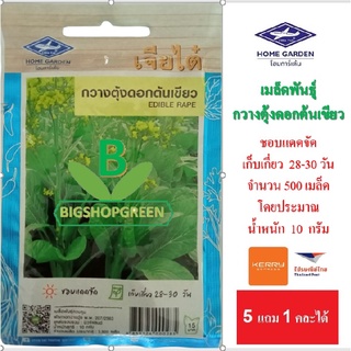 5 ฟรี 1 คละได้ เมล็ดพันธุ์  กวางตุ้งดอกต้นเขียว  ตราเจียไต๋  เมล็ดผัก เมล็ดพันธุ์พืช  เมล็ดพืช  เมล็ดพันธุ์ผัก