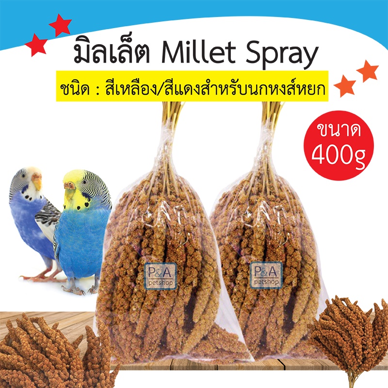 ภาพหน้าปกสินค้าล็อตใหม่ ช่อมีลเล็ท Millet Spray สีเหลือง/สีแดงสำหรับนก