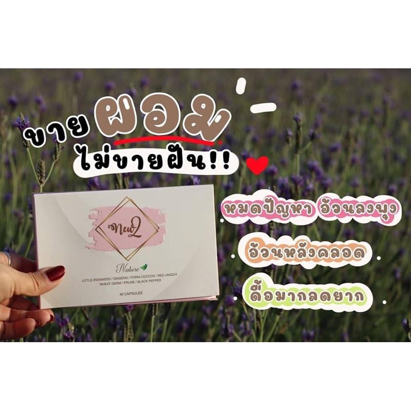 นิวทู-new2-ล้มช้างลดไว