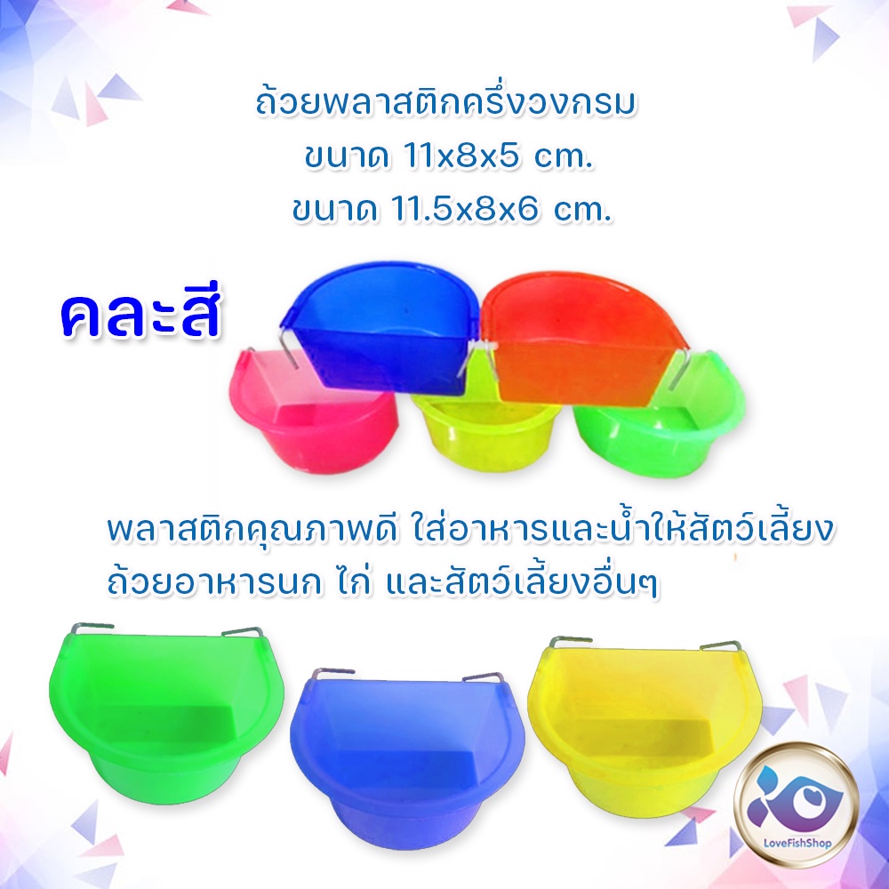 ถ้วยพลาสติกครึ่งวงกรม-ขนาด-11x8x5-cm-11-5x8x6-cm-คละลาย