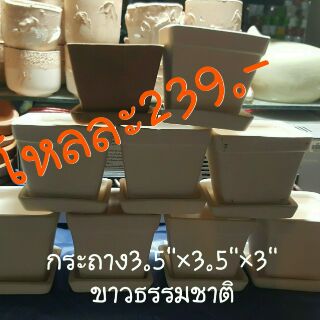 สินค้า กระถาง3.5\"×3.5\"×3\" ขาวธรรมชาติ