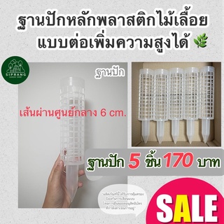 สินค้า [ฐานปักขนาดใหญ่ 5 ชิ้น]  หลักไม้เลื้อย/เสาไม้เลื้อย ขนาดใหญ่ เส้นผ่านศูนย์กลาง 6 ซม. แบบต่อเพิ่มความสูงได้