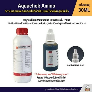 สินค้า (แบ่ง 30ML) Aquachok Amino วิตามินรวมและกรดอะมิโนที่จำเป็น