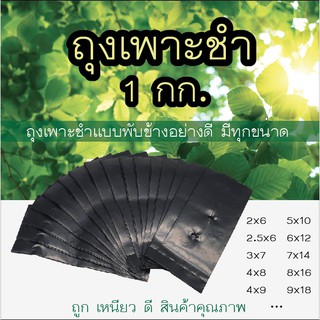 สินค้า ถุงเพาะชำ อย่างดี 1 กิโลกรัม มีทุกขนาด หนา เหนียว (หน่วยเป็นนิ้ว)