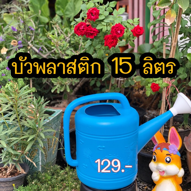 บัวพลาสติก-15-ลิตร-โรงงานเเจ้งว่า15-ลิตร-นะคะ-เราไม่ได้ผลิตเอง