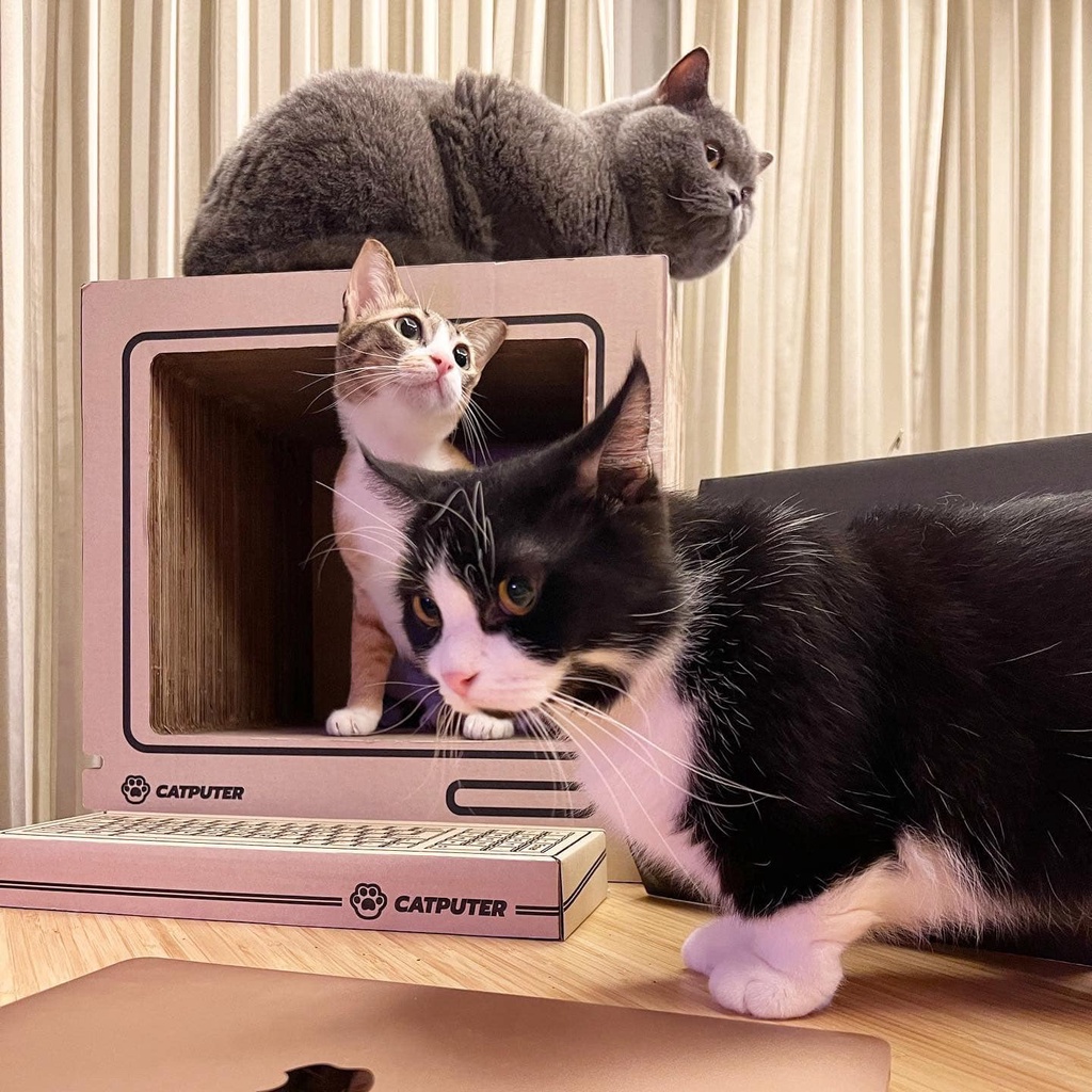 KAFBO x LOGA Catputer ที่ลับเล็บแมวรูปคอมพิวเตอร์ ที่ฝนเล็บแมว บ้านแมว ...