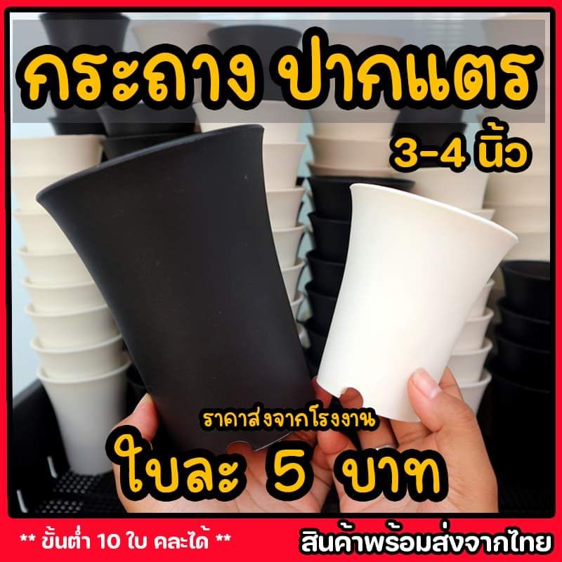 ภาพหน้าปกสินค้ากระถางปากแตร 3นิ้ว 4นิ้ว (เนื้อด้านพรีเมี่ยม)ราคาส่ง กระถางพลาสติก กระถางกระบองเพชร แคคคัส ไม้ด่าง