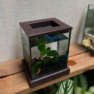 Betta Corner Set ตู้ปลาขนาด 4*5*6 “ ฐานสีน้ำตาลเข้ม พร้อมของตกแต่งในตู้ หิน ต้นไม้ผูกขอน + โอ่งจิ้ว