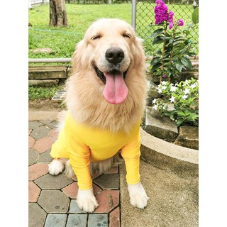 Dog Corner Pet Shop ชุดกับขนร่วงสำหรับสัตว์เลี้ยง สีเหลือง